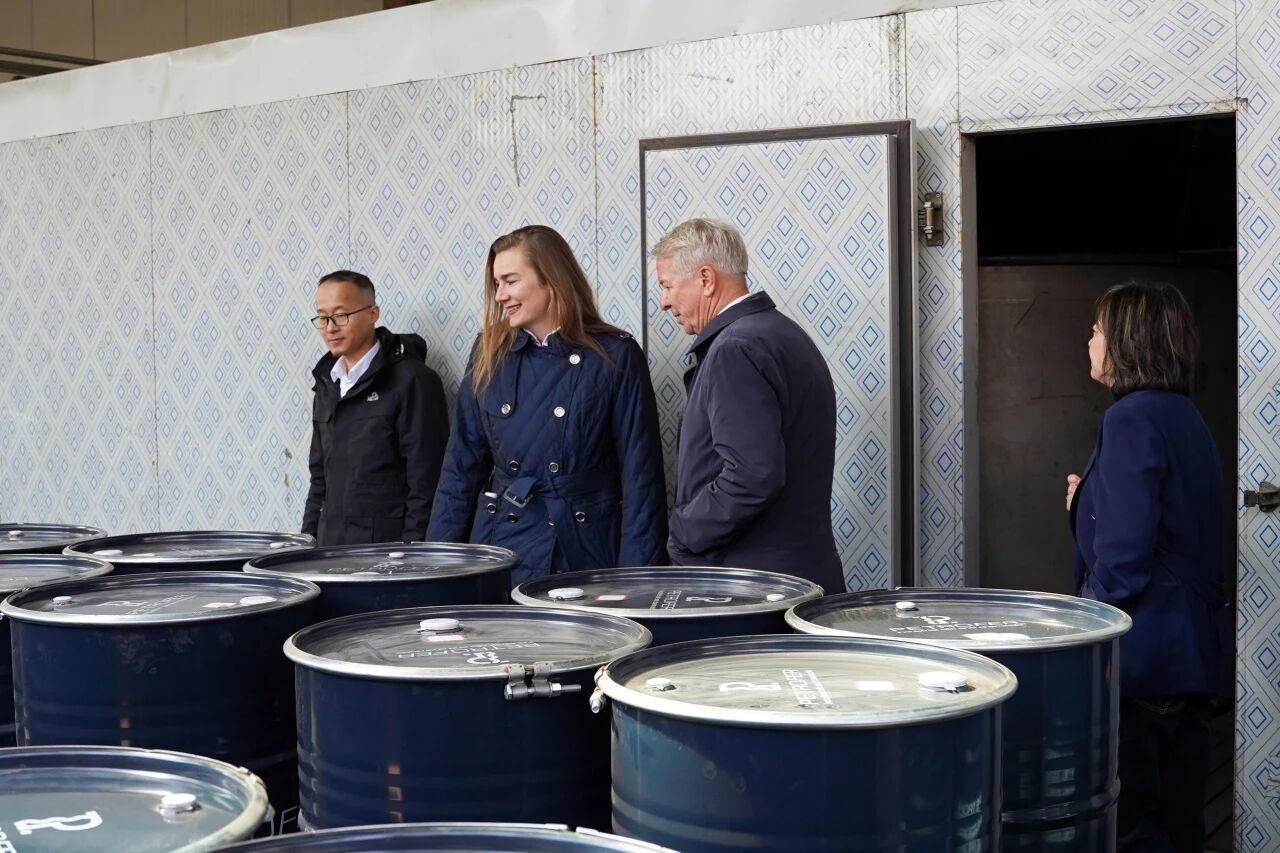 MG冰球突破试玩--手机版app官网